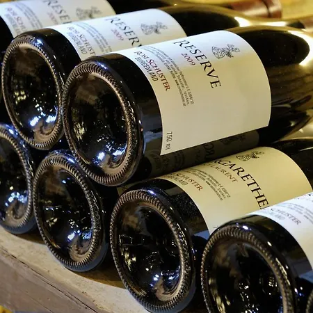 Ritzlerhof - Panorama Und (adults Only)