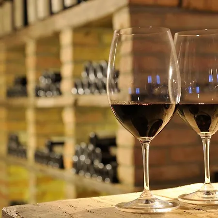 Ritzlerhof - Panorama Und (adults Only) Sautens